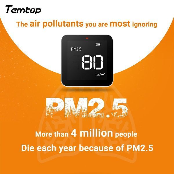 Монітор якості повітря Temtop P10 для PM2.5 AQI, професійний детектор із лазерним датчиком частинок 6700P10 фото